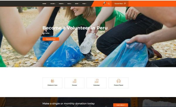 Charity/Fundraising/Donation Website + Free hosting & Installation