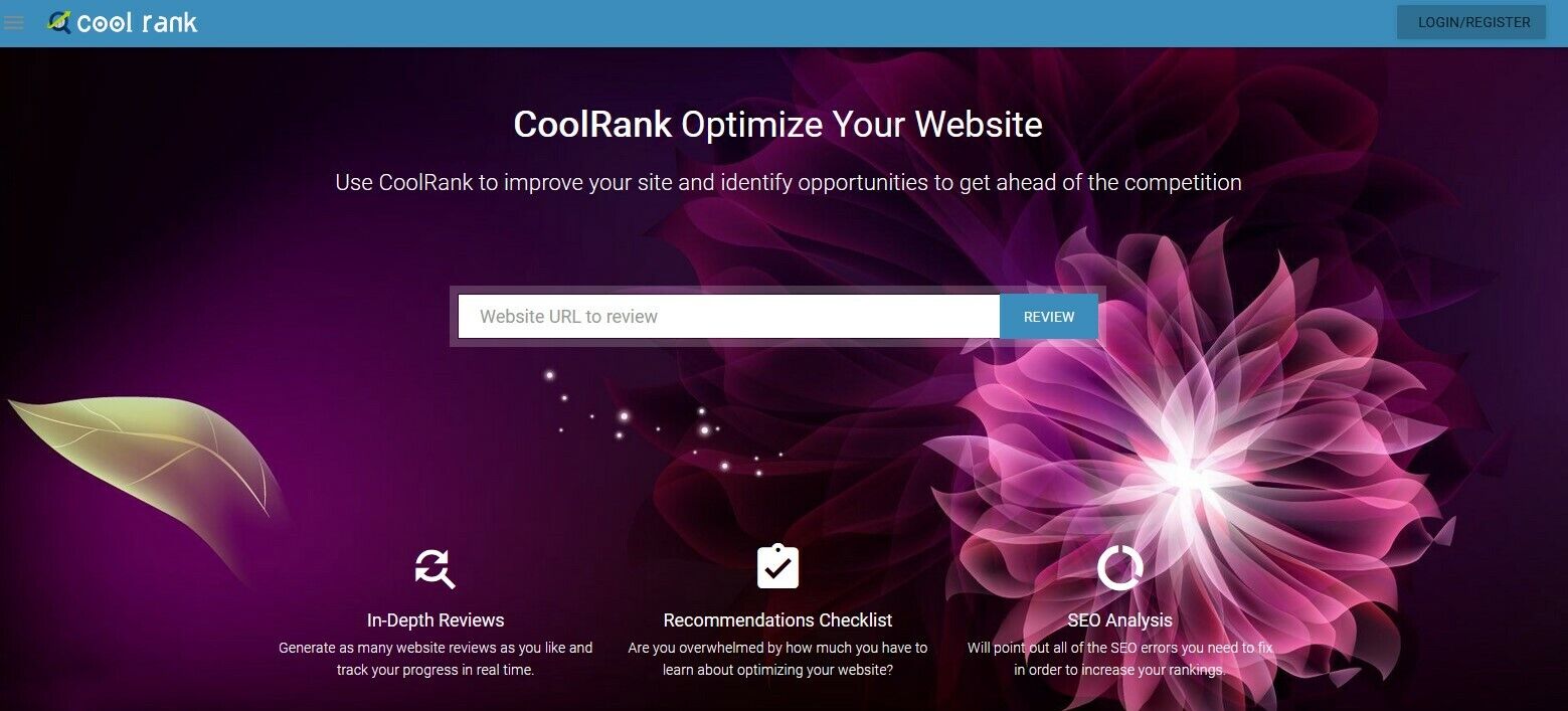 Domain & Website Analysis Website + Free Installation