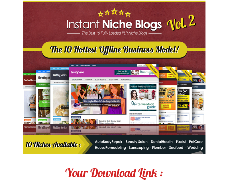 Instant Niche PLR WordPress Blogs – Volume #2 (10 Hottest Offline Business Mode)