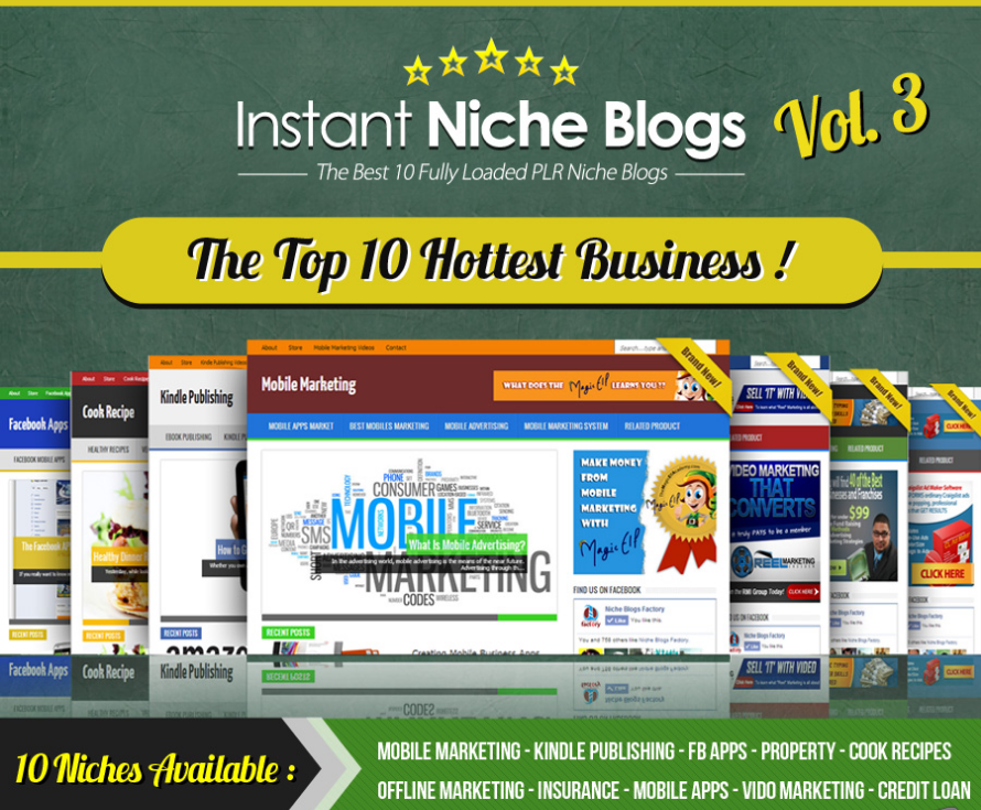 Instant Niche PLR WordPress Blogs – Volume #3 (Top 10 Hottest Business)