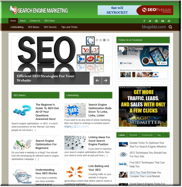 Search Engine Optimization Blog 