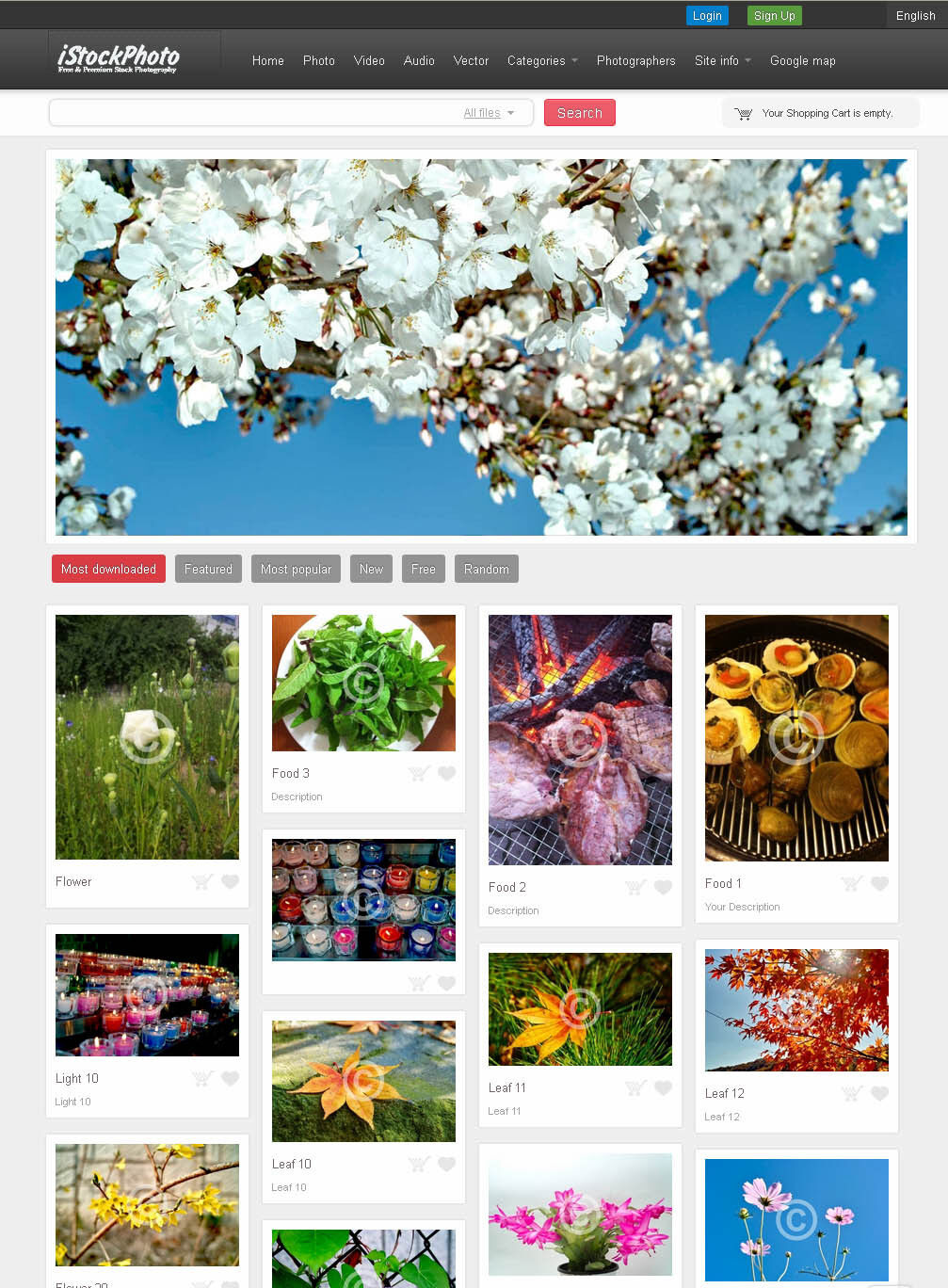 Stock Photo WebSite – Free Install