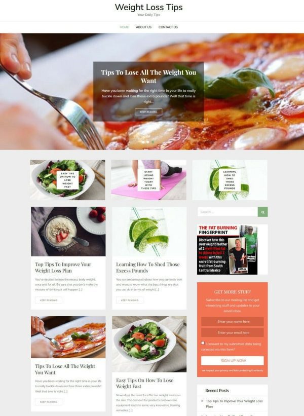 WEIGHT LOSS NICHE BLOG + AutoUpdate, Free Hosting