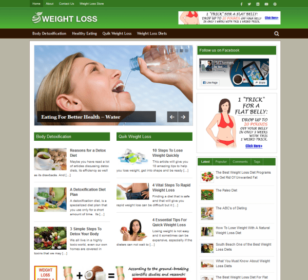 Weight Loss Tips Niche Blog Wordpress Ready Made Website