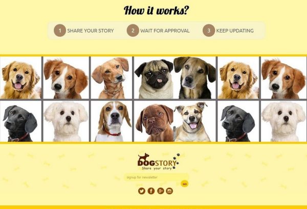 Dog Social Community Website