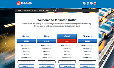 Website Traffic Reseller Website Business For Sale + Free Installation